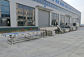 蔬菜清（qīng）洗機（jī）械